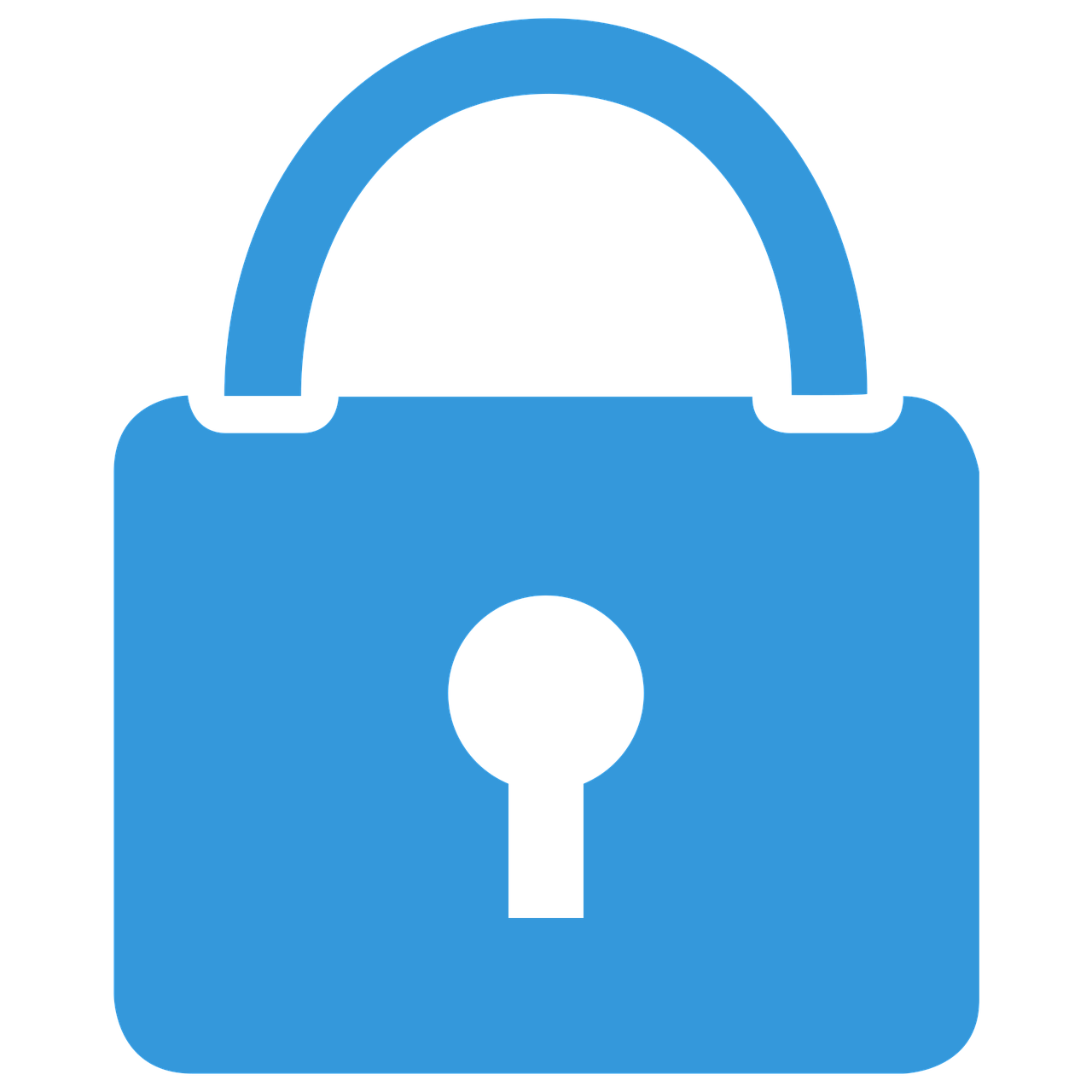 Security Icon